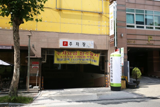대전 월평 하니 사진