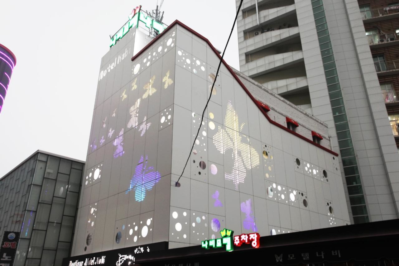 아산 나비 사진