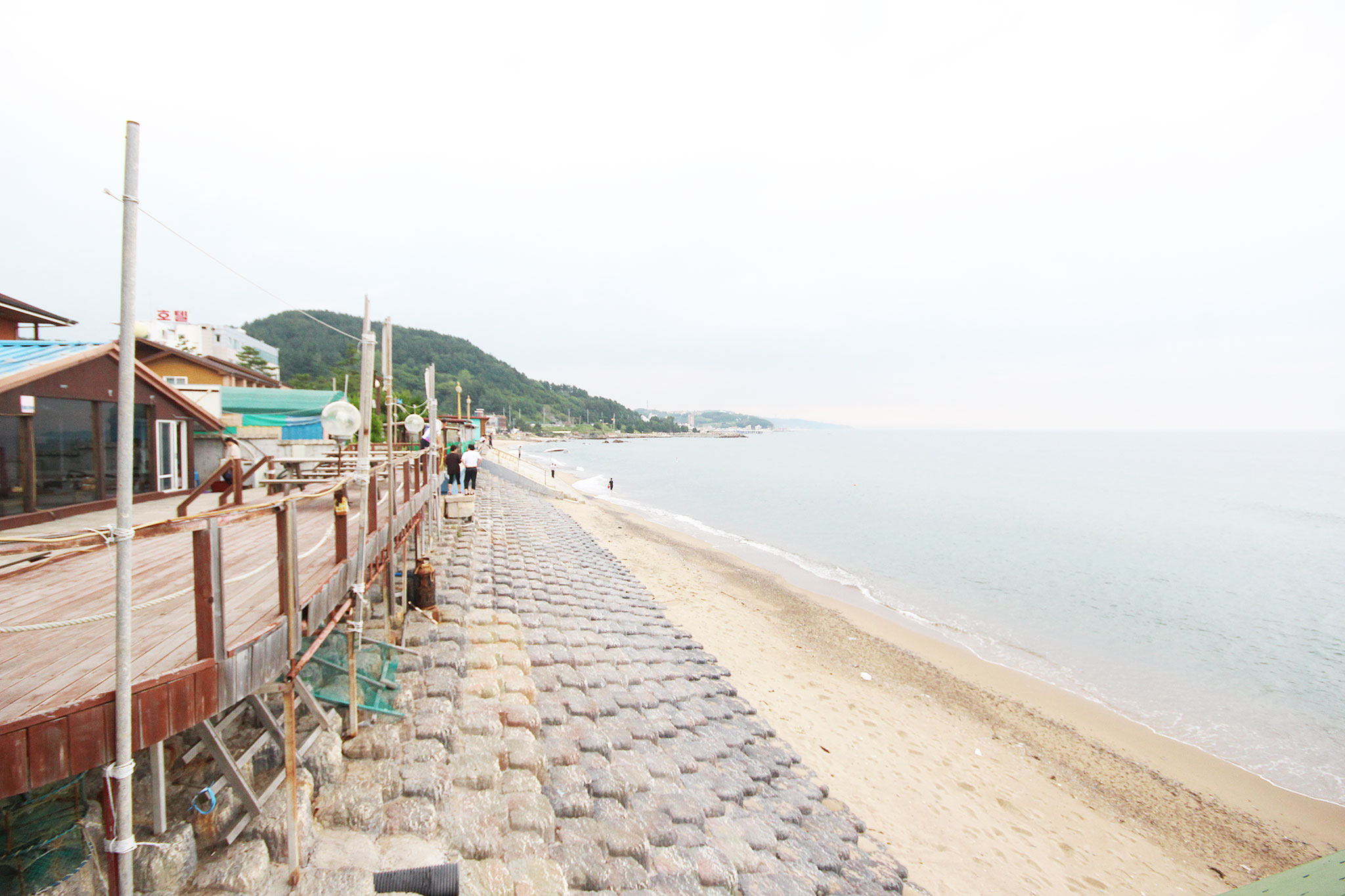 영덕 강구항 인투 전망