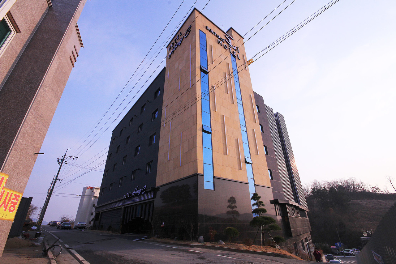 대구 현풍 홍시 사진
