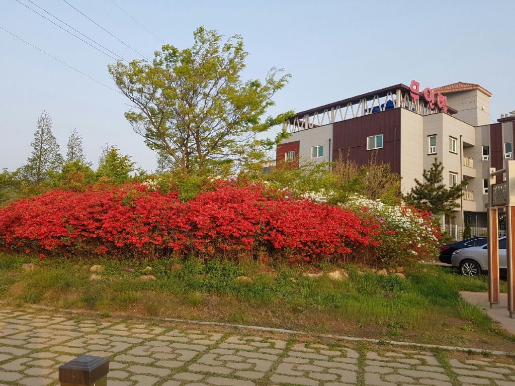 서산 씨 무인텔(유인텔) 외관