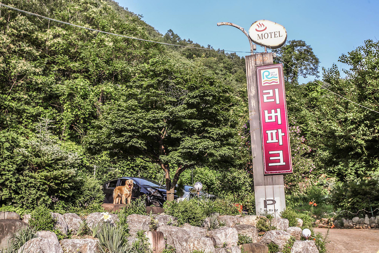 영월 리버파크 사진