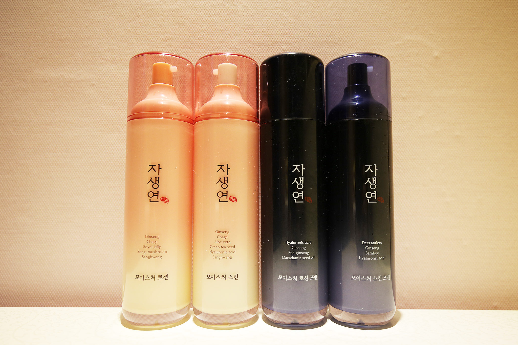 공주 수 사진