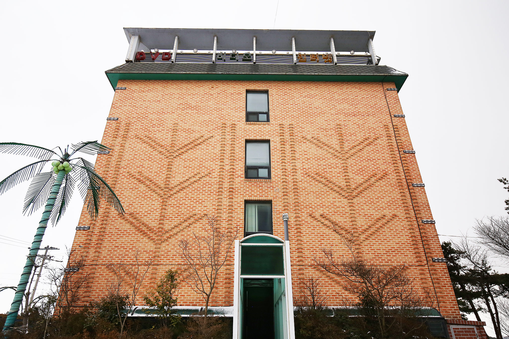 안면도 해송 외관