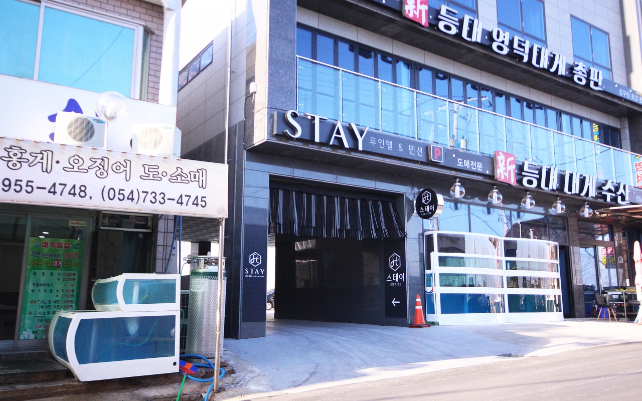영덕 강구항 스테이 사진