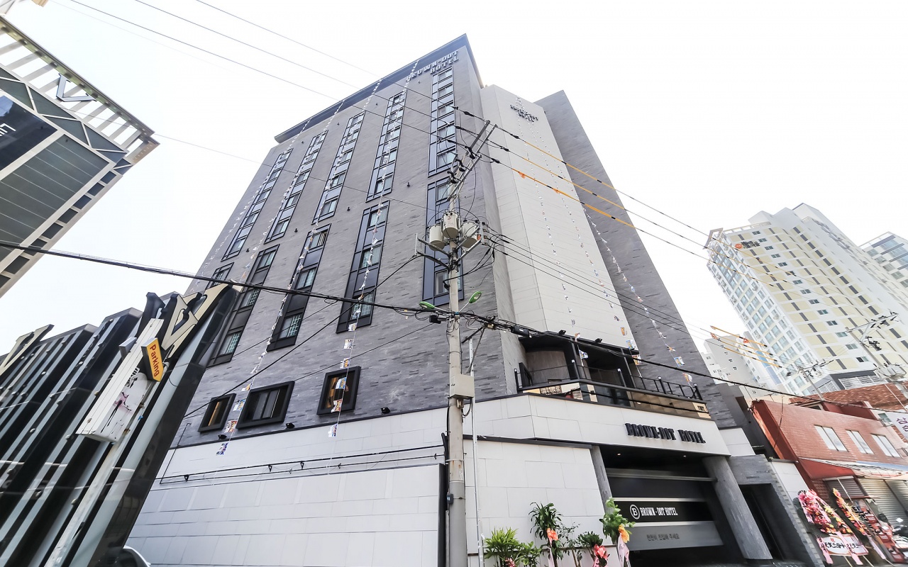 부산 구포 브라운도트 사진