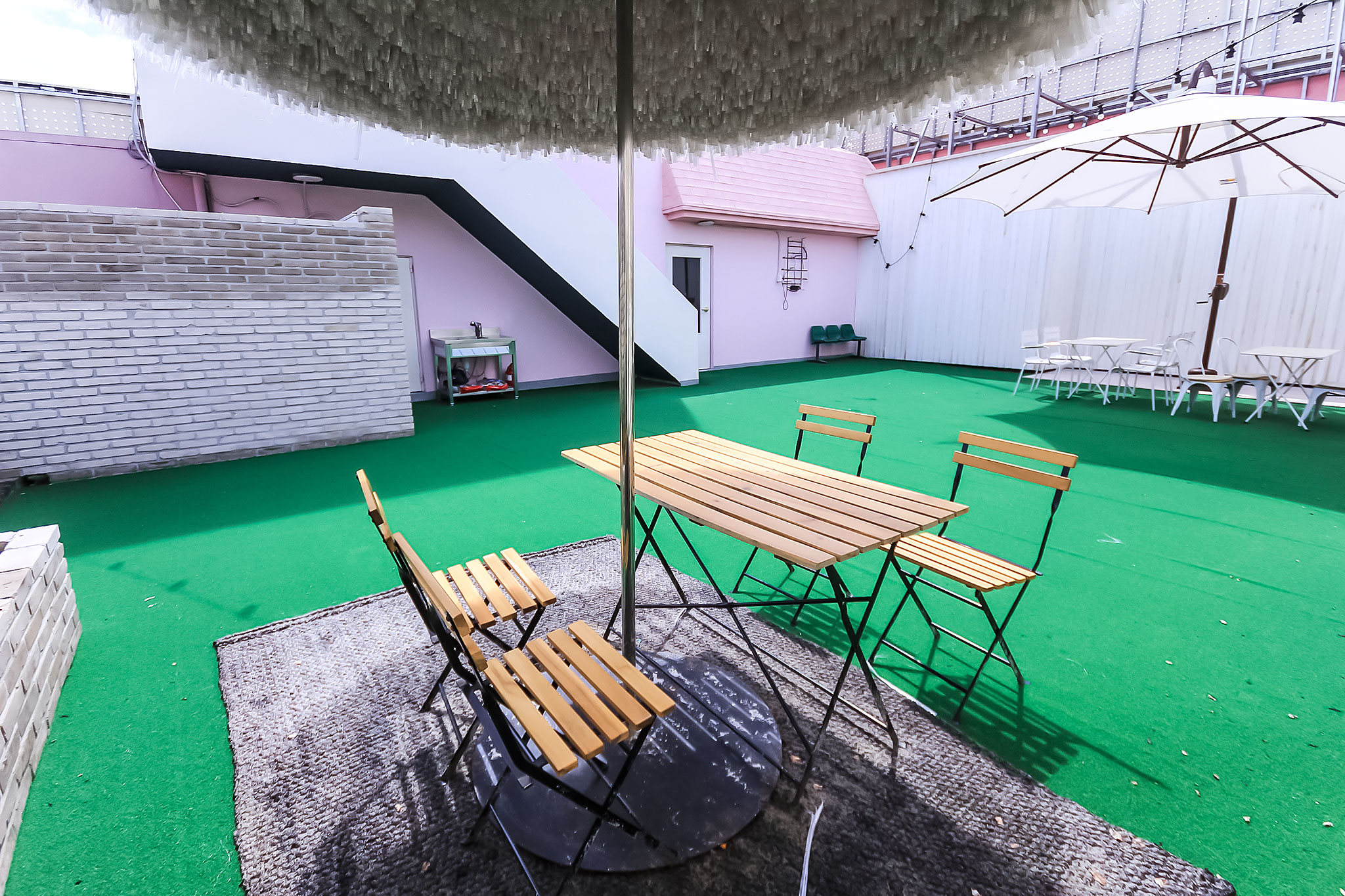 대구 경북대 이탈리안썸머 사진