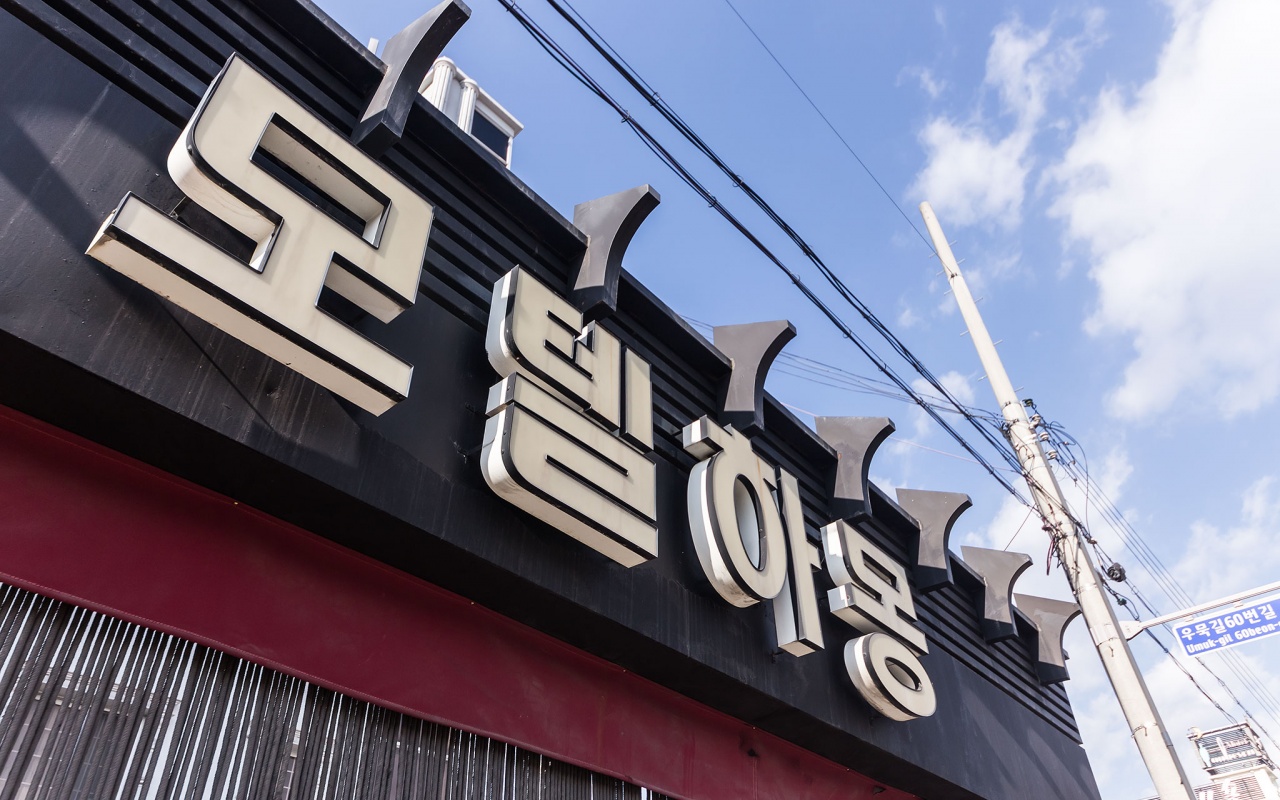 춘천 하몽 사진