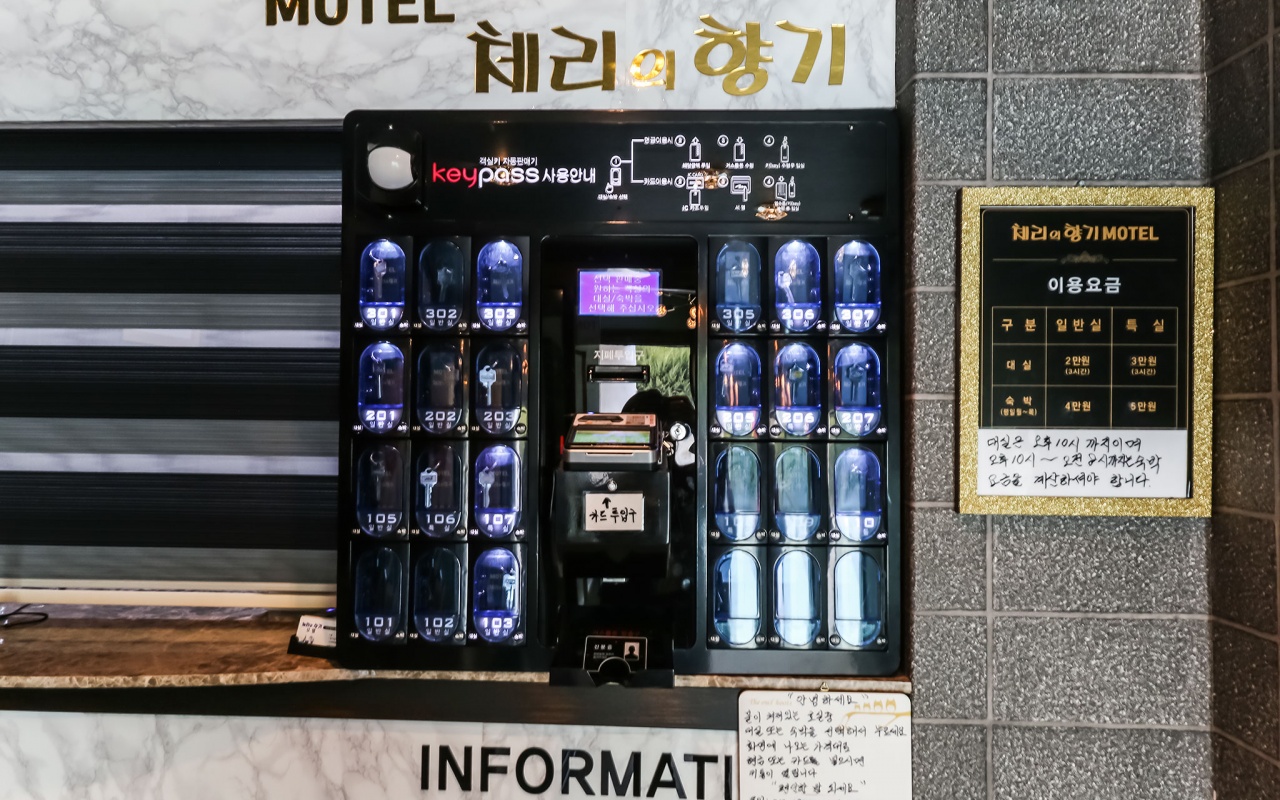 금산 체리의향기 사진