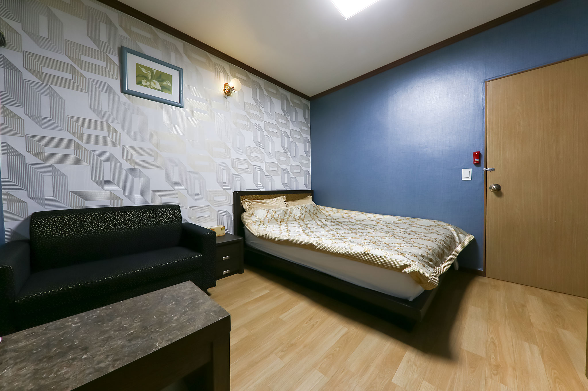 보은 수 썸네일2