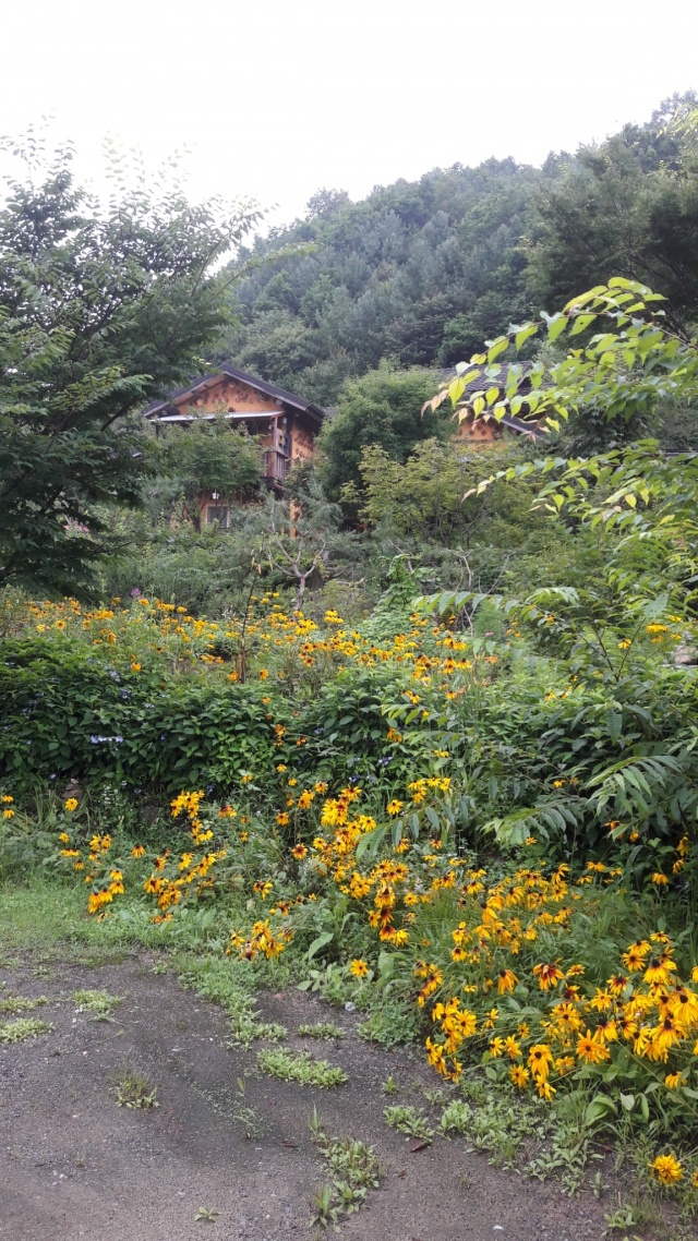썸네일_1