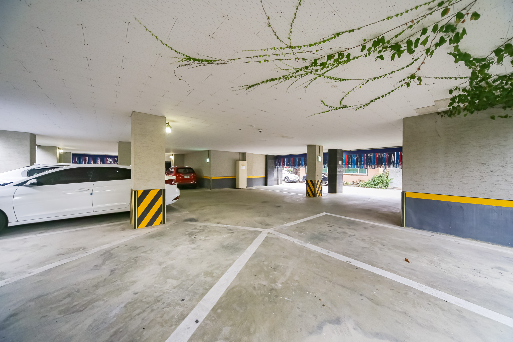 영주 호텔위즈 사진