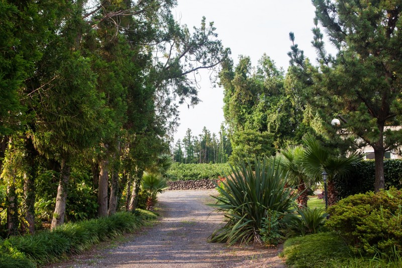 https://yaimg.yanolja.com/v5/2019/09/09/17/5d760b3d91f668.34991127.jpg