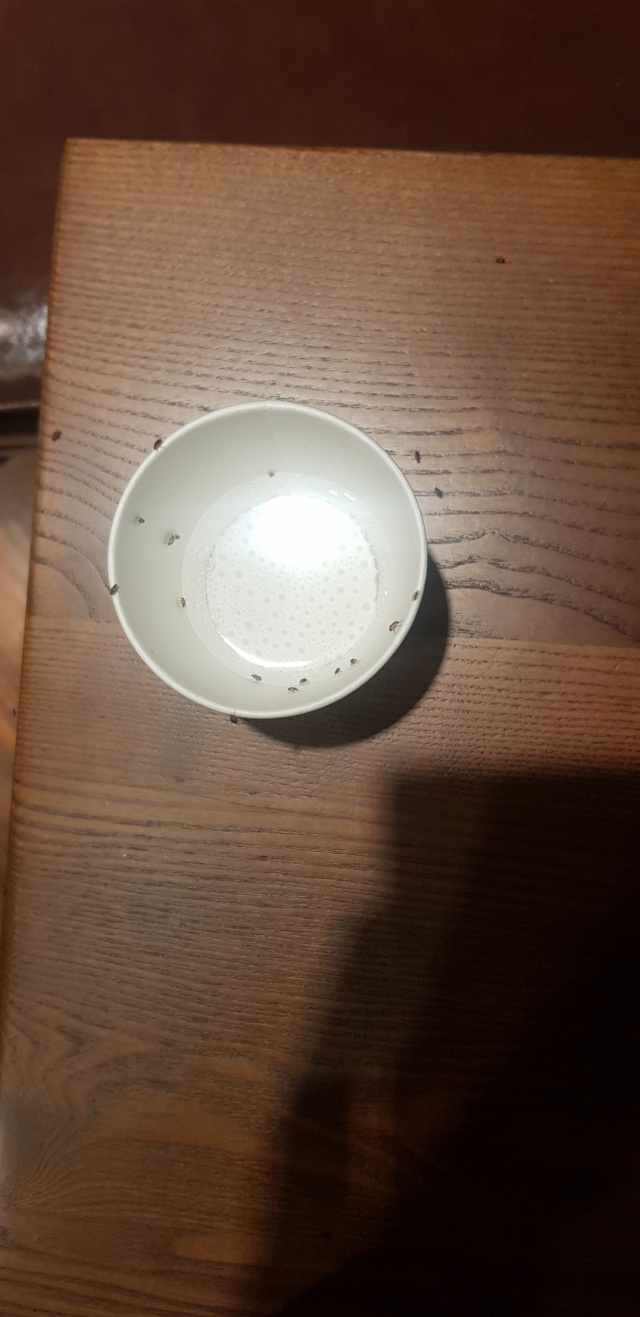 썸네일_1