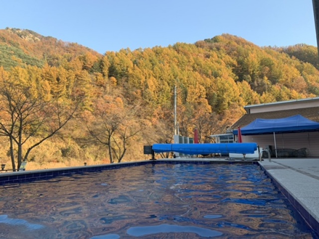 썸네일_1