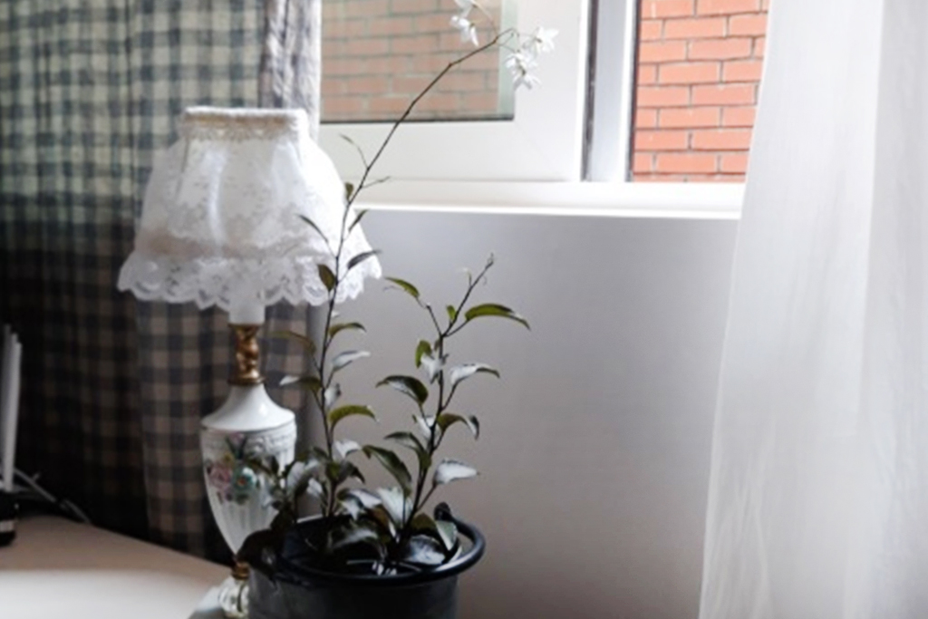 room detail thumbnail 2