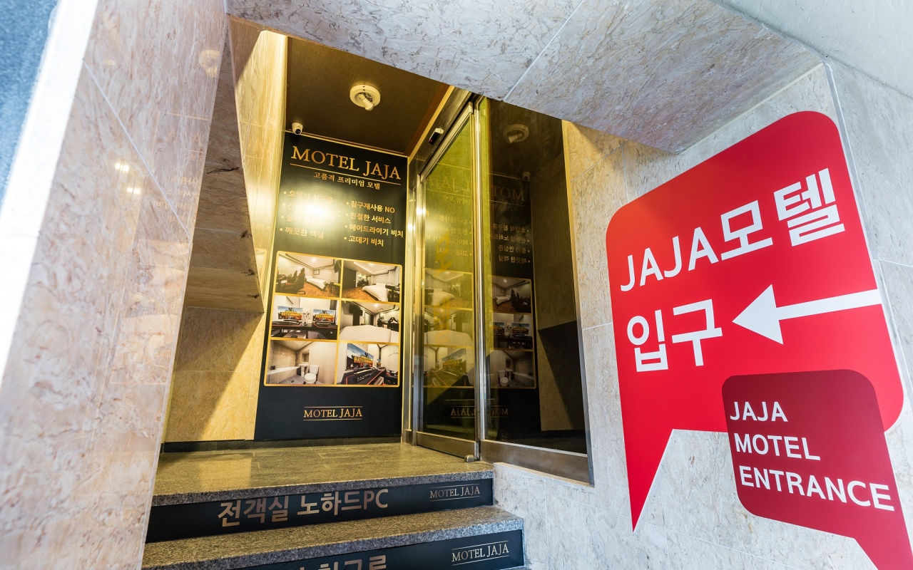 용인 자자 사진