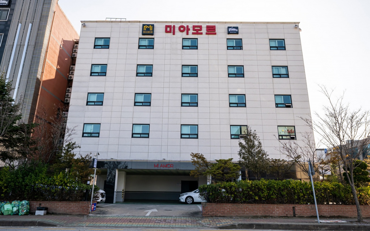 속초 미아모르 사진