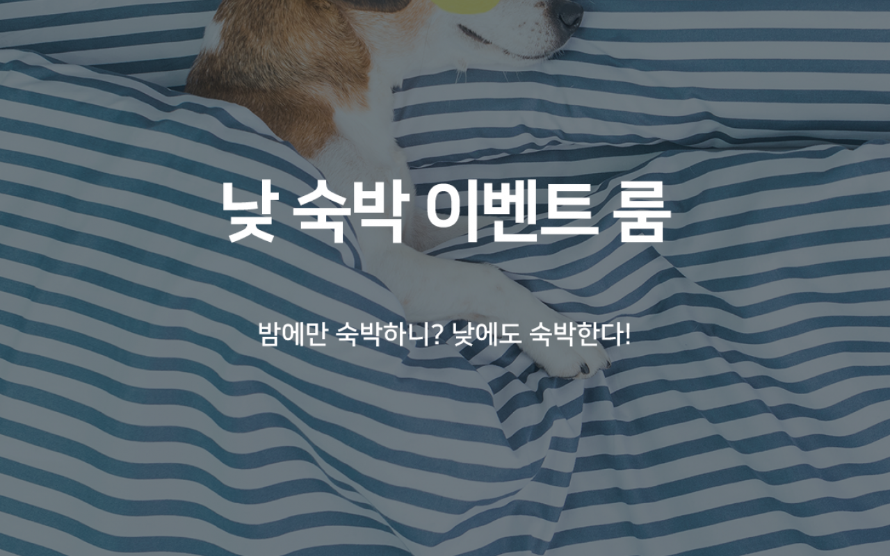 낮 숙박