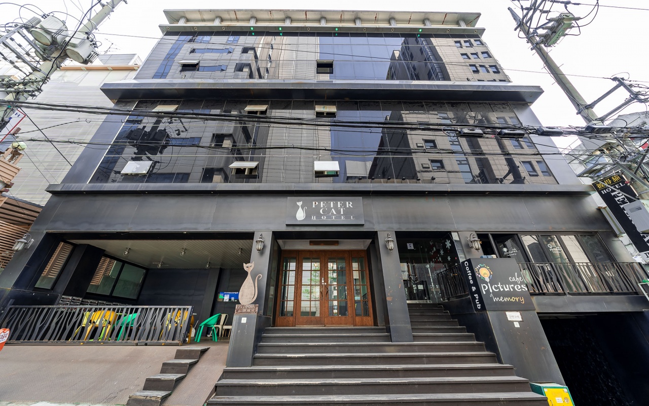 신촌 피터캣 사진