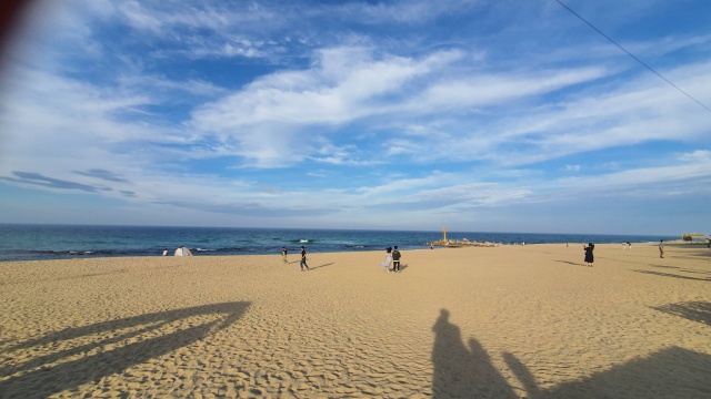 썸네일_1