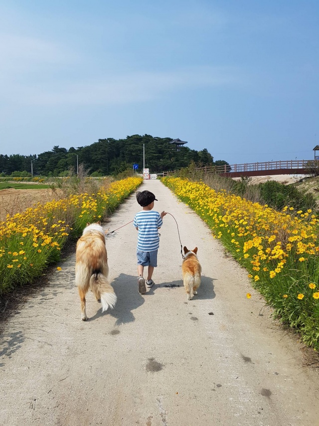 썸네일_2