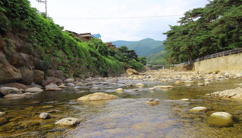 구례 노고지리펜션 전망