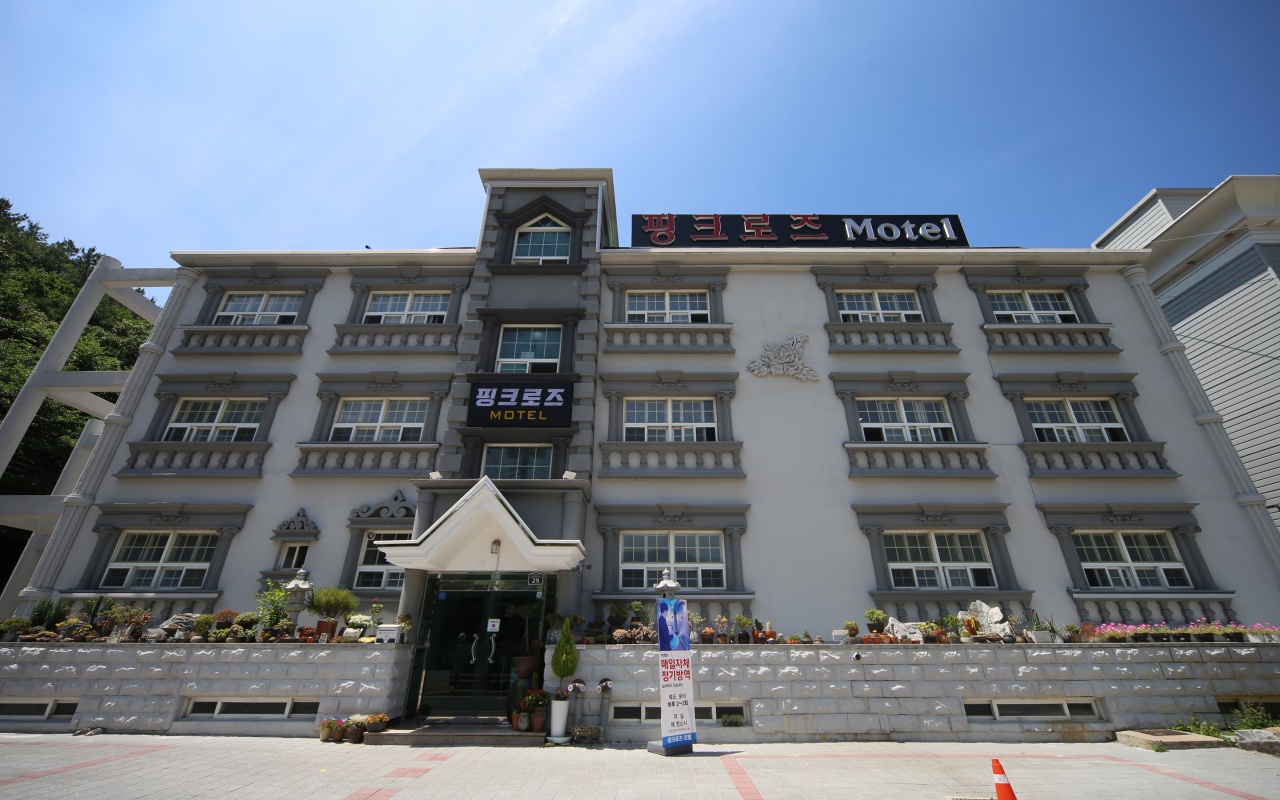 구미 금오산 핑크로즈 사진