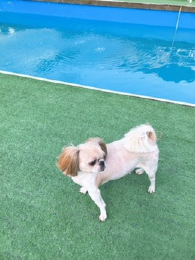 썸네일_2