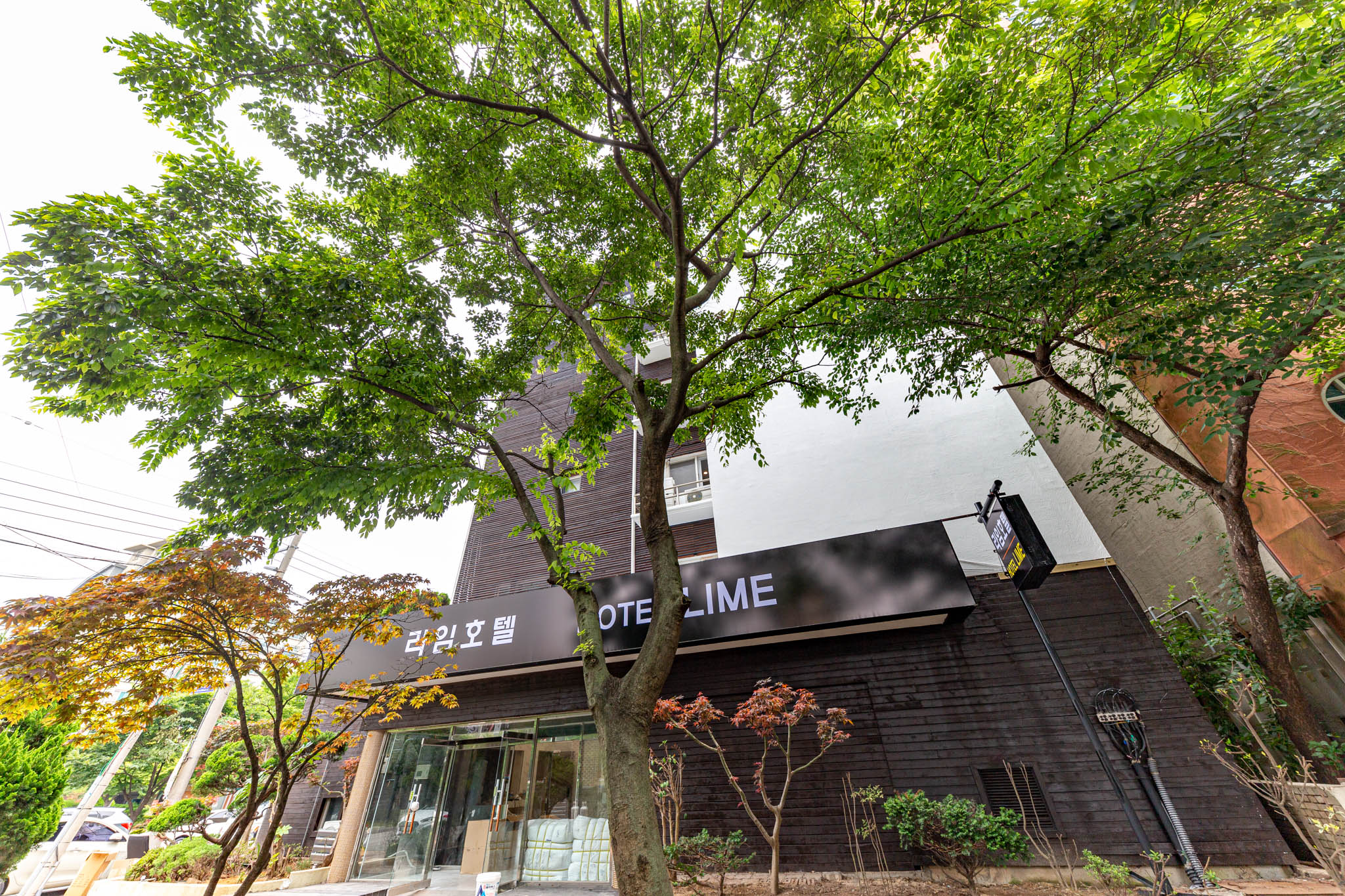 목포 호텔 라임(Hotel Lime) 외관