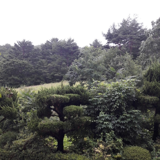 썸네일_5