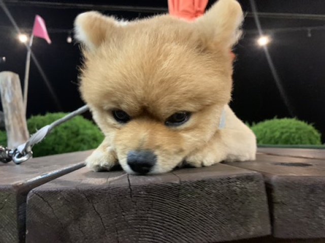 썸네일_1