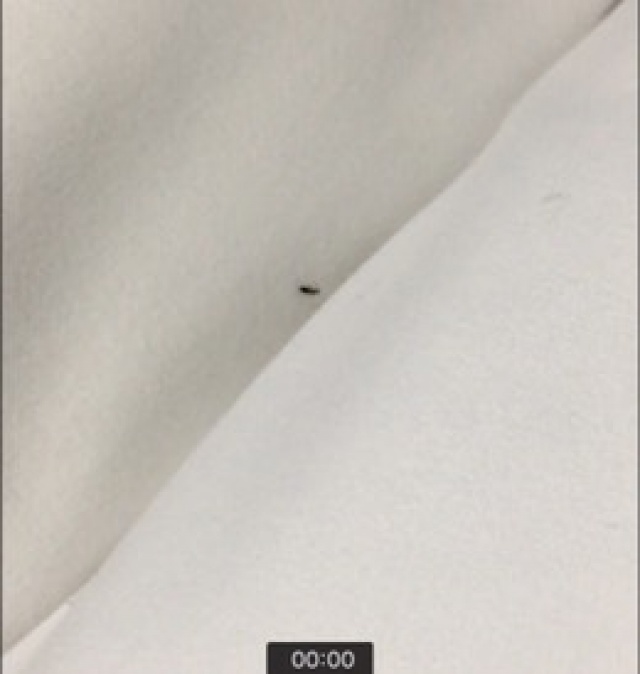 썸네일_1