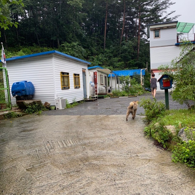 썸네일_1
