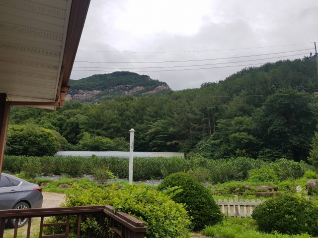 썸네일_1