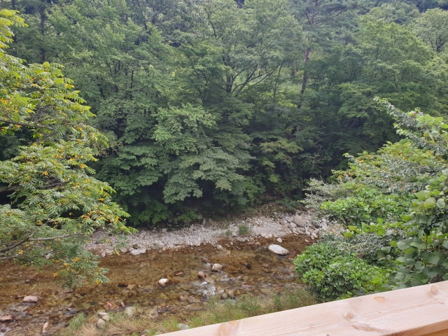 썸네일_6