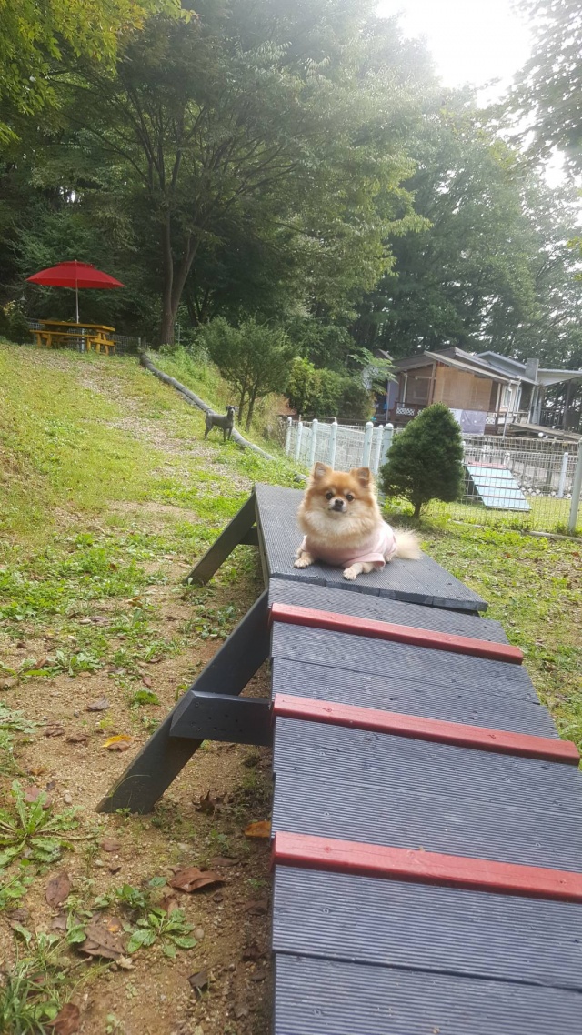 썸네일_4