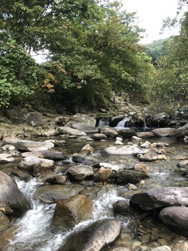 썸네일_2