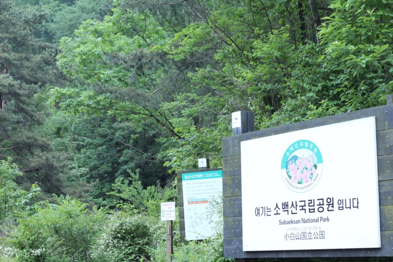 단양 정우네펜션 외관