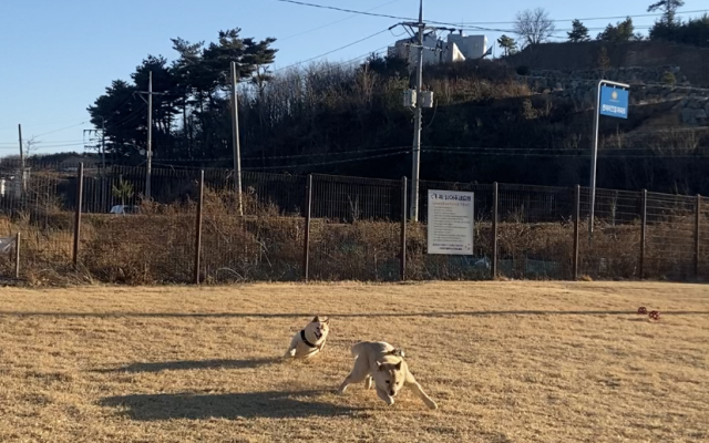 썸네일_1