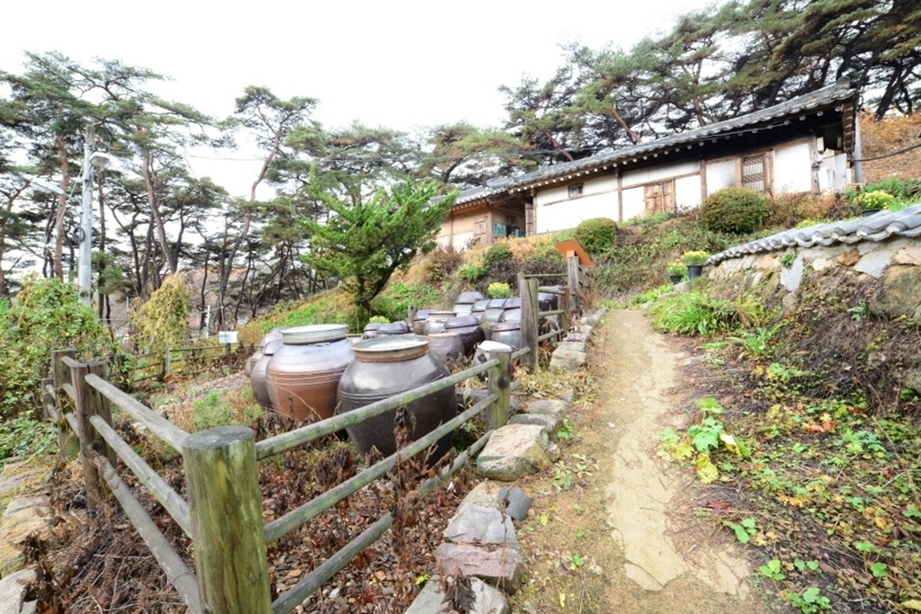 안동 이상루 고택 전망