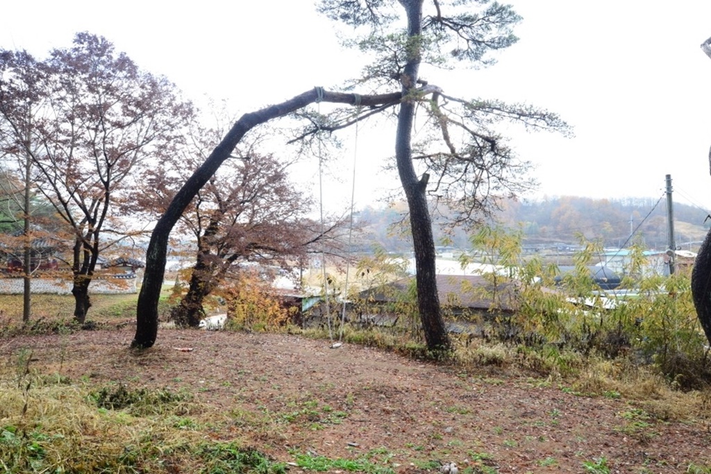 안동 이상루 고택 전망