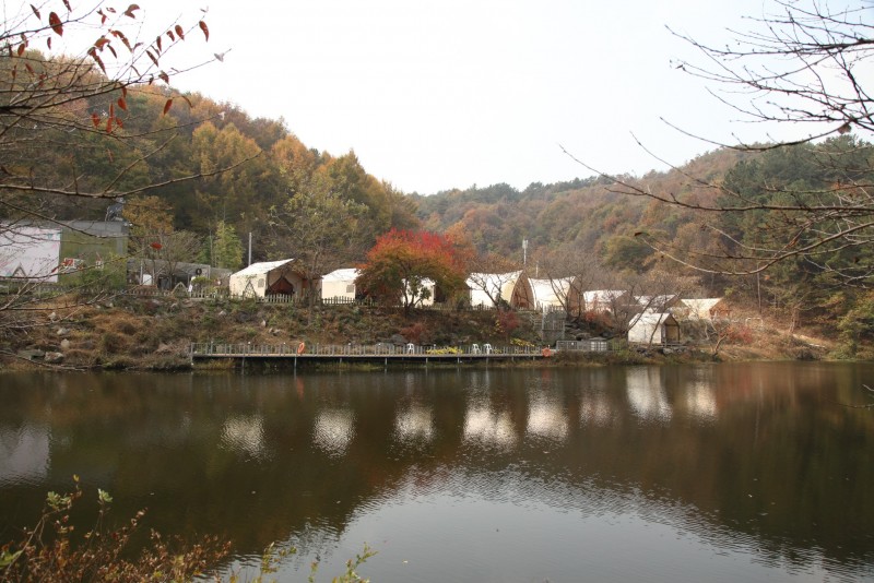 부여 판앤팜치유정원 전망