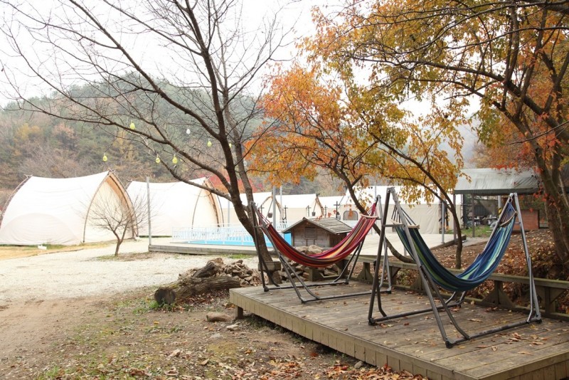 부여 판앤팜치유정원 사진