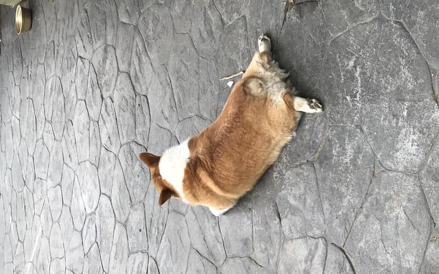 썸네일_3