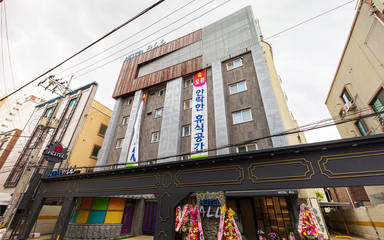 대전 용문 올리브 사진