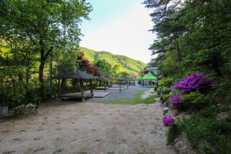 양평 아들바위펜션 경쟁 제품과 비교 이미지
