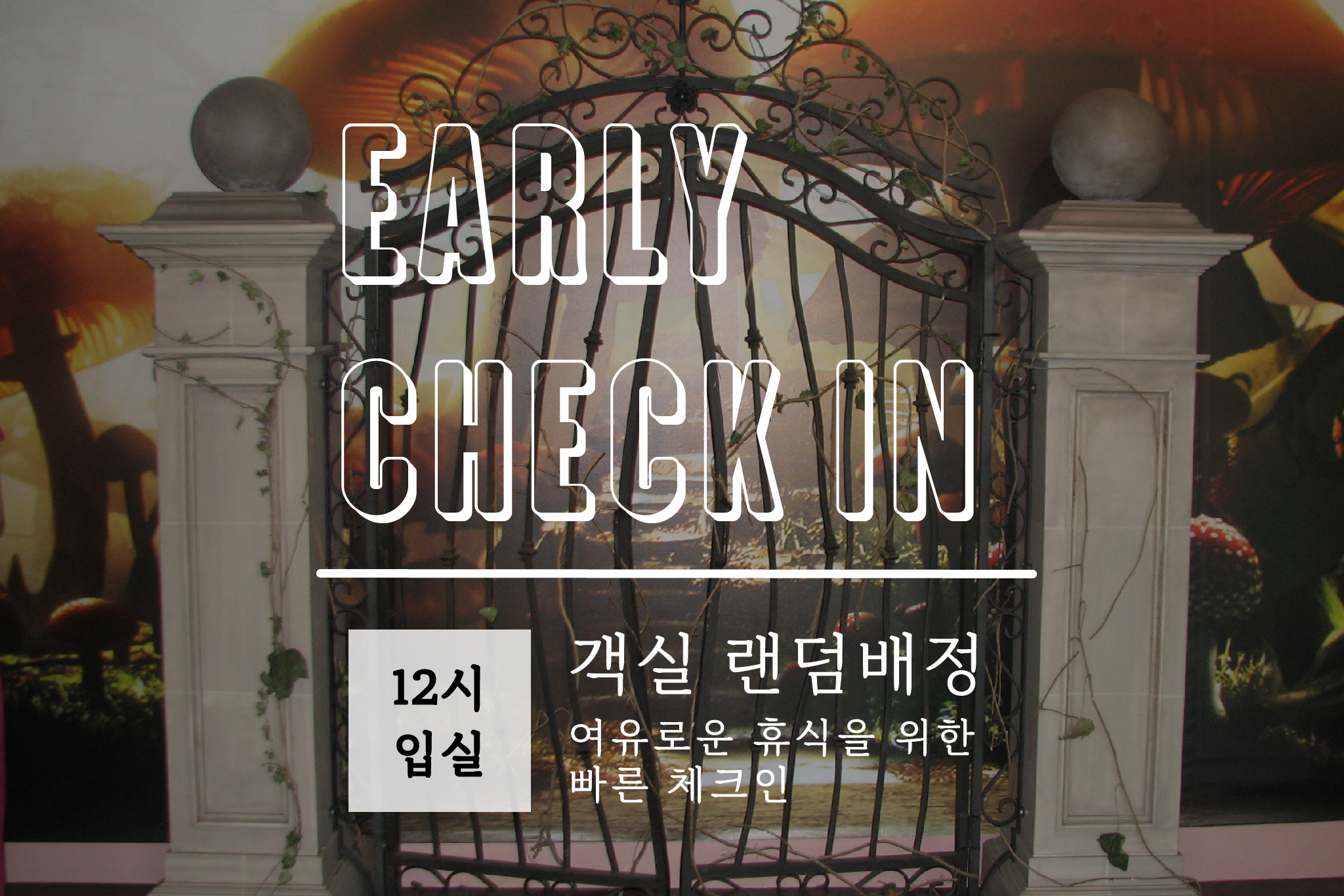 Early check in(객실랜덤배정)