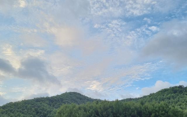 썸네일_1