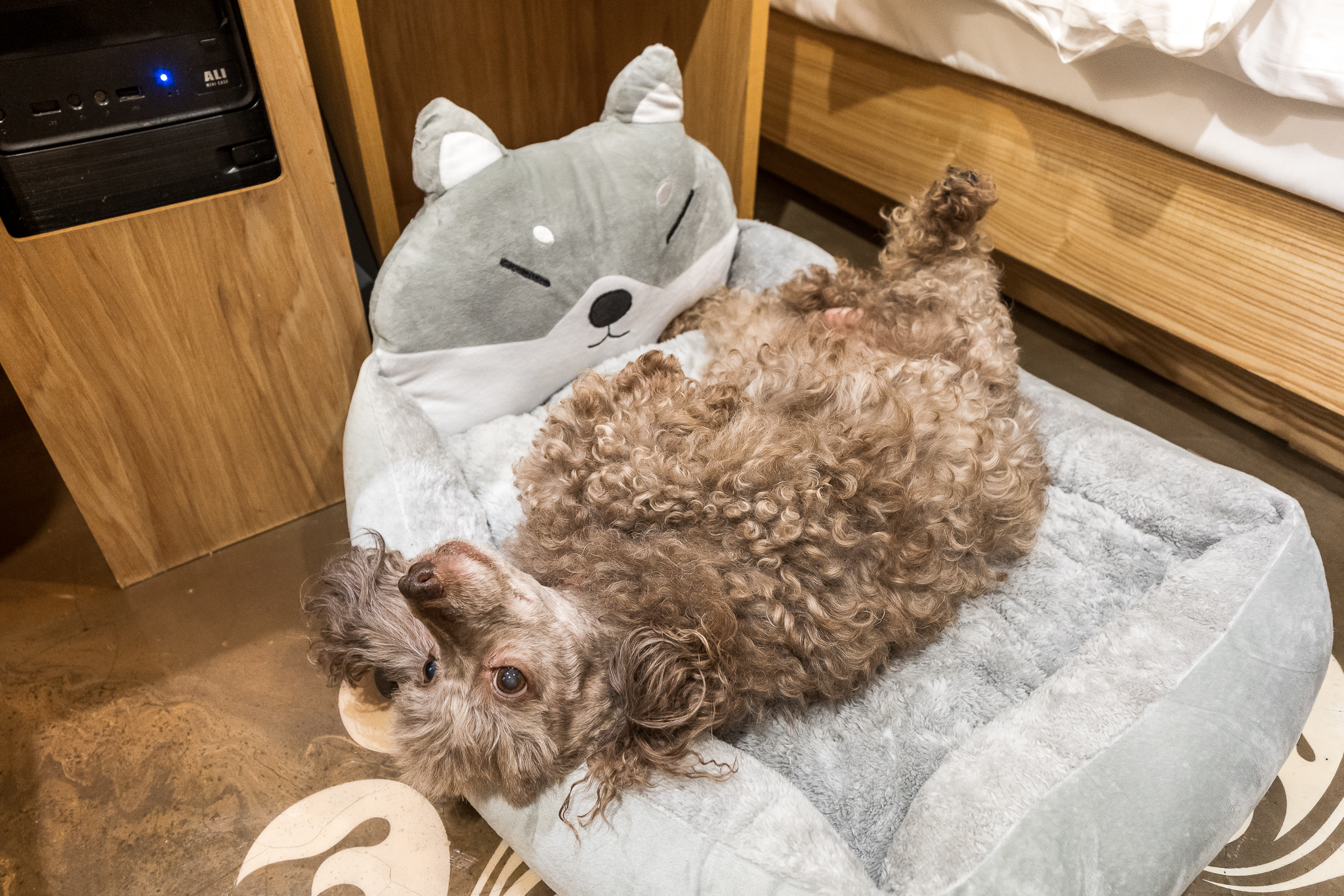 room detail thumbnail 1